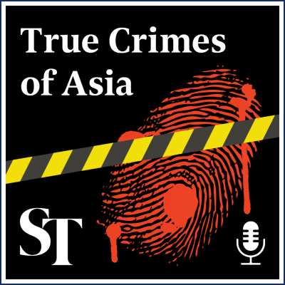 episode S1E5: Taiwan: Deadly stabbing spree on metro shocks island of 23 million artwork