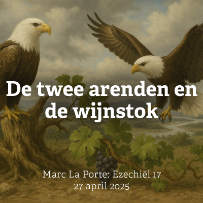 episode De twee arenden en de wijnstok artwork