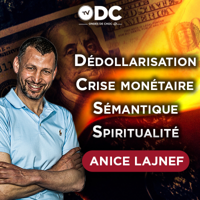 episode Anice Lajnef - Dédollarisation, crise monétaire et spiritualité (Partie II) artwork