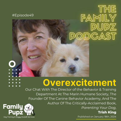 episode Overexcitement artwork