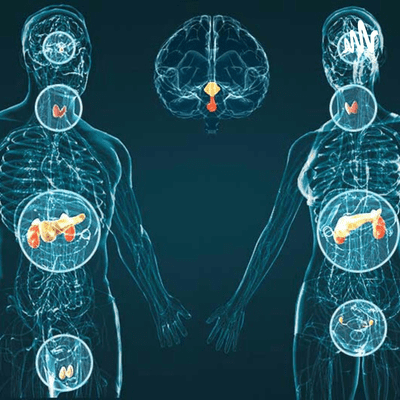 Sistema Neuroinmunoendocrino