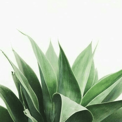 episode Ecobarriod artwork