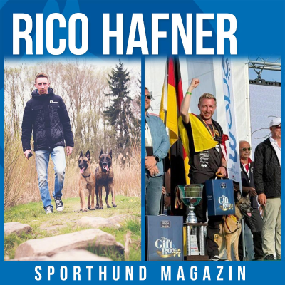 episode #31 Rico Hafner artwork