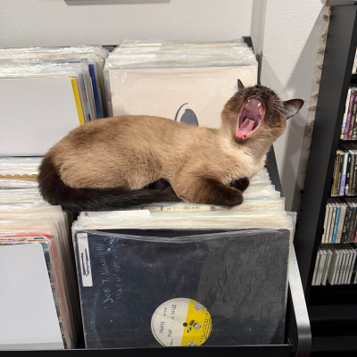 episode Episode 768: December 13, 2025 artwork