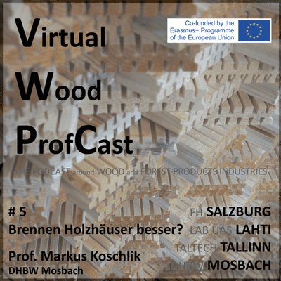 episode #5 Brennen Holzhäuser besser? artwork