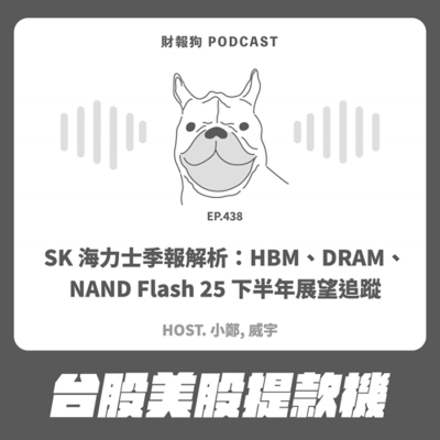 episode 438.【台股美股提款機】SK 海力士季報解析:HBM、DRAM、NAND Flash 25 下半年展望追蹤 artwork