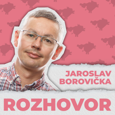 episode EURO vs KORUNA očima ekonoma Jaroslava Borovičky artwork