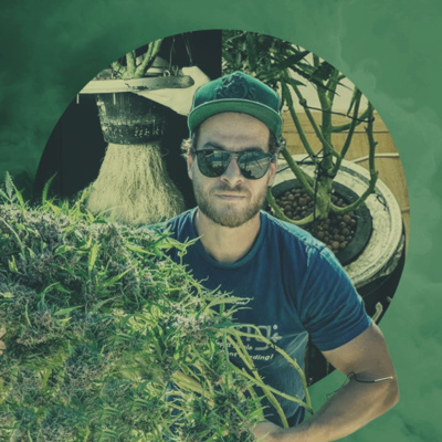 episode Buzz 19: Sitting Down With DWC Specialist Sebastian - RQS Podcast artwork