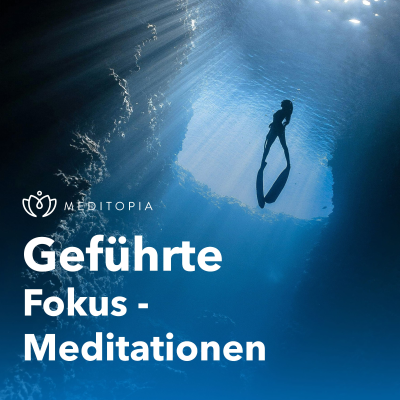 episode Verstärke den Fokus mit weniger Führung artwork