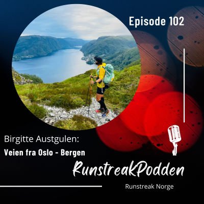 episode #102 - Birgitte Austgulen I Veien fra Oslo til Bergen artwork