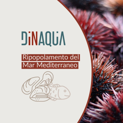 episode Notizie dai partner: ripopolamento del Mar Mediterraneo artwork