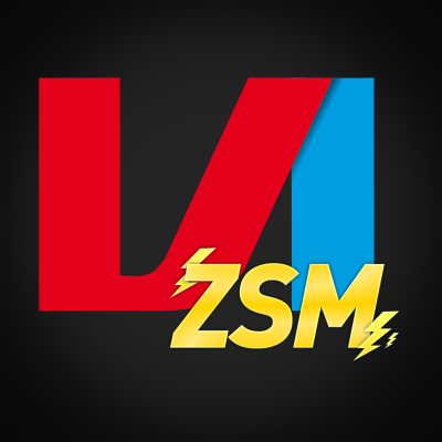 VI ZSM - podcast