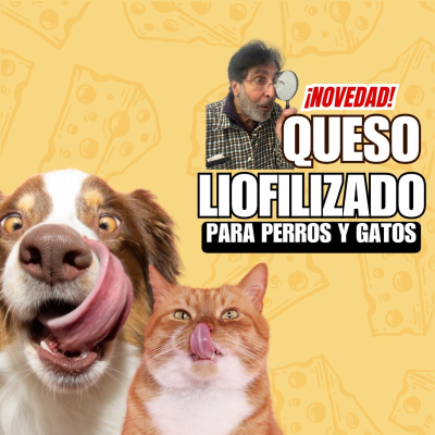 episode 🧀¡QUESO LIOFILIZADO PARA PERROS Y GATOS! ¡NOVEDAD EN EUROPA! 💯 #queso #perros #gatos artwork