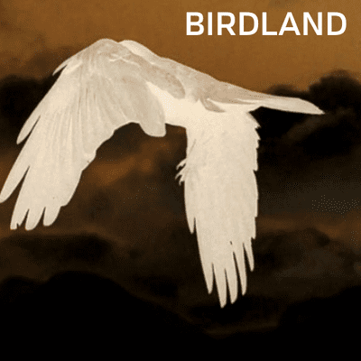 episode Birdland Exhibition - Mount Victoria Museum artwork