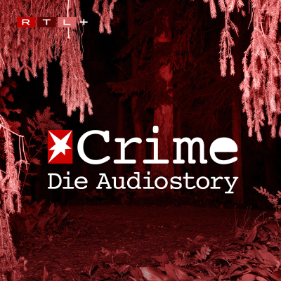 Cover image stern Crime – Stories