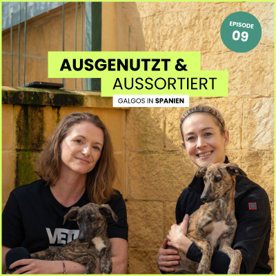 episode Ausgenutzt und aussortiert – Galgos in Spanien artwork