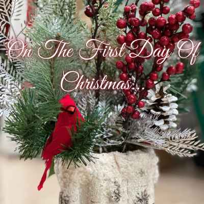 episode On The First Day Of Christmas... [A Drarry Podfic] NSFW Unabridged artwork