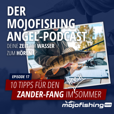 episode 10 Tipps für den Zander-Fang im Sommer artwork