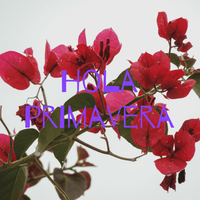 episode Hola primavera artwork