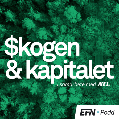 episode Skogen & Kapitalet: ”Klarar finnarna höga virkespriser, klarar vi det också" artwork
