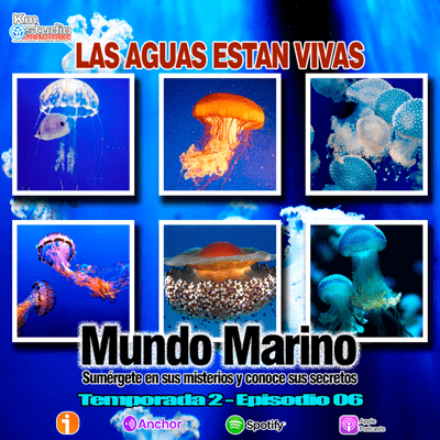 episode LAS AGUAS ESTÁN VIVAS artwork