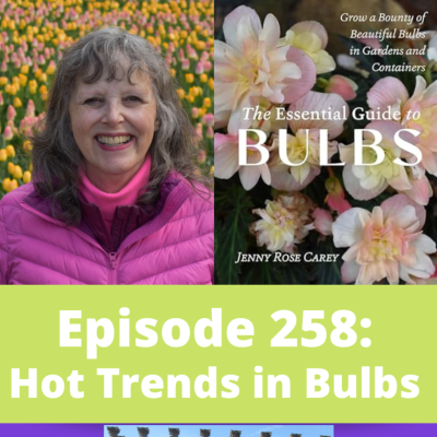episode Hot Trends in Bulbs artwork