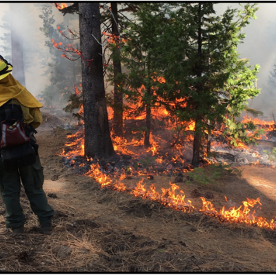 episode 162-Intentional Fire-Shifting Society’s Relationship with Wildfire w/ Marissa Christansen & Chris Anthony artwork