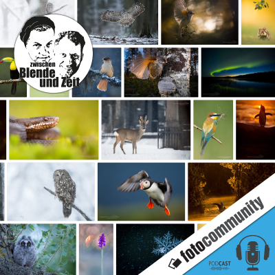 episode 385 - Vorgestellt: Zwischen Biologie und Bildkunst - Chris Kaula artwork