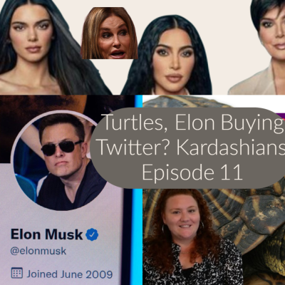 episode Turles, Elon Musk Buys Twitter, Stocks Crashing, Kardashians Episode 11 artwork