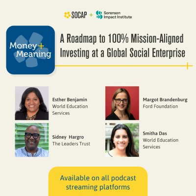 episode A Roadmap to 100% Mission-Aligned Investing at a Global Social Enterprise artwork