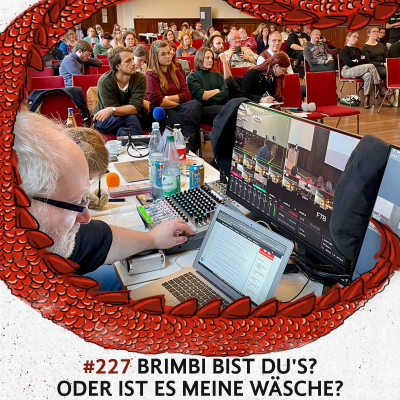 episode 227 Brimbi bist du's? Oder ist es meine Wäsche? artwork