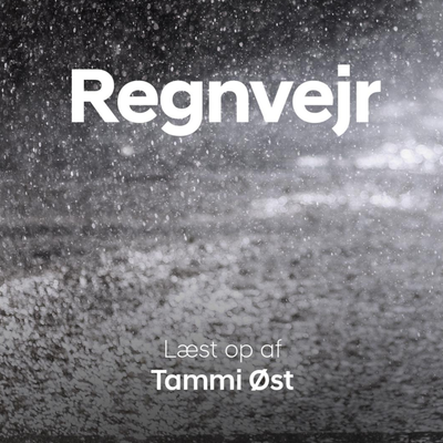 episode Regnvejr artwork
