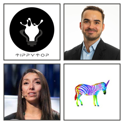 episode 3.1 Raja Skogland from The Visionary Company on investor readiness, building marketplaces and materialising your dreams and ideas artwork