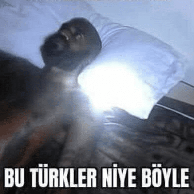 Bu Türkler Niye Böyle?