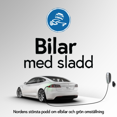 episode Tesla gör en radarpudel artwork