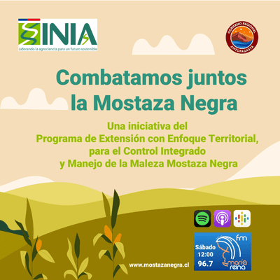 Combatamos juntos la Maleza Mostaza Negra