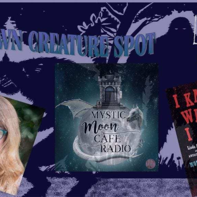episode Linda S. Godfrey Interview About Her Book, "I Know What I Saw" from Mystic Moon Cafe artwork