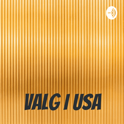 VALG I USA