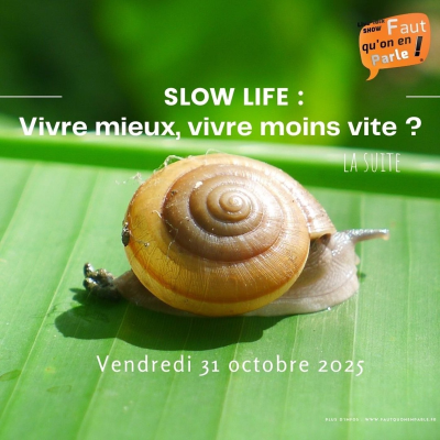 episode Slow Life : vivre mieux, vivre moins vite ? – La suite artwork
