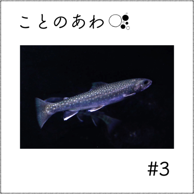 episode 宮城県女川町でおしゃべりからサカナカイギへoO artwork