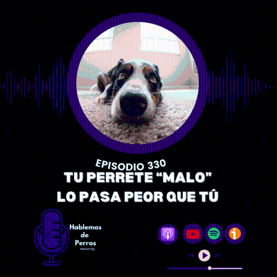 episode Episodio #330: Tu perrete «malo» sufre más que tú artwork