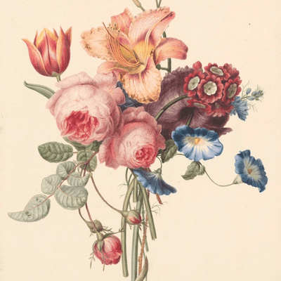 Coverbild der Sendung Araceli Geraldine Ramos Huapaya