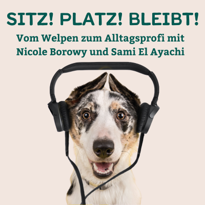 Sitz! Platz! Bleibt! - der Hundepodcast