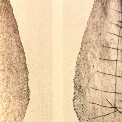 episode Nödropet på revbenet artwork