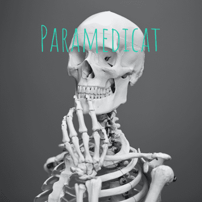 episode Medication Administration/routes/key things artwork