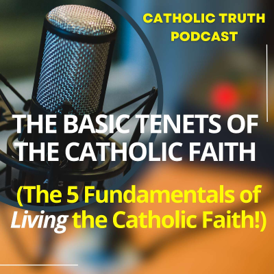 episode The BASICS of the Catholic Faith (The 5 Fundamentals!) artwork