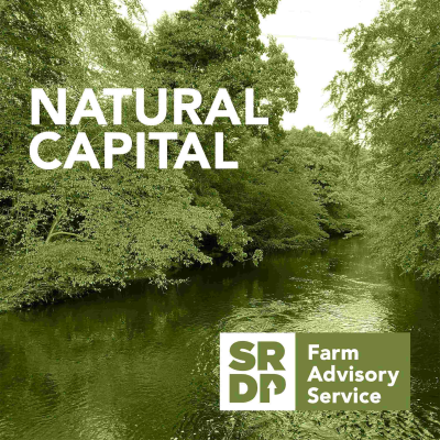 episode Natural Capital - Landscape Enterprise Networks: Leven LENs artwork