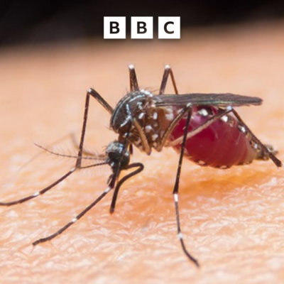episode First malaria treatment for babies approved artwork