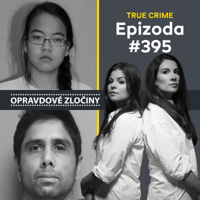 episode #395 - Jennifer Pan & Dharmesh Patel artwork