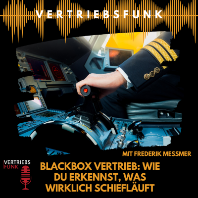 episode #965 - Blackbox Vertrieb: Wie du erkennst, was wirklich schiefläuft. Mit Frederik Meßmer artwork